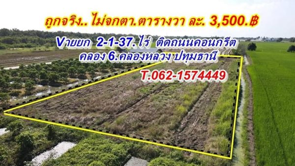 ที่ดินคลอง6 อ.คลองหลวง ปทุมธานี T.062-1574449 สดโฉนดพร้อมโอน