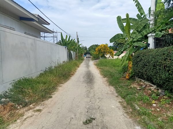 ขายที่ดิน ทำเลดี ใกล้ Central Westville ในซอยวัดบางไกรใน อ.บางกรวย จ.นนทบุรี แปลงสวย สี่่เหลี่ยมผืนผ้า โทร 093-543-5103