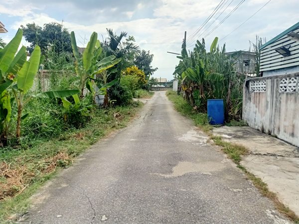 ขายที่ดิน ทำเลดี ใกล้ Central Westville ในซอยวัดบางไกรใน อ.บางกรวย จ.นนทบุรี แปลงสวย สี่่เหลี่ยมผืนผ้า โทร 093-543-5103