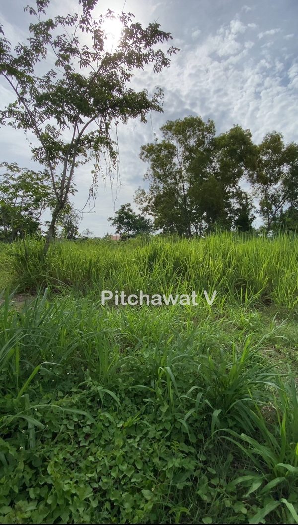 ขายที่ดิน 450 ตร.ว. หมู่บ้านปัญญา บางพระ ทำเลทอง อ.ศรีราชา จ.ชลบุรี เหมาะสร้างบ้านอยู่อาศัย โทร 063-469-5592