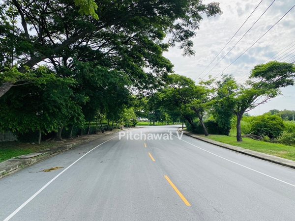 ขายที่ดิน 450 ตร.ว. หมู่บ้านปัญญา บางพระ ทำเลทอง อ.ศรีราชา จ.ชลบุรี เหมาะสร้างบ้านอยู่อาศัย โทร 063-469-5592