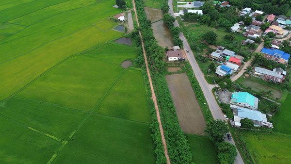 Land for sale Chaiyaphum ขายที่ดินชัยภูมิ มี 2 แปลง สามารถถมดิน ทำบ้าน ทำธุรกิจค้าขายได้ โทร 061-1195112