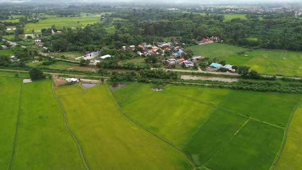 Land for sale Chaiyaphum ขายที่ดินชัยภูมิ มี 2 แปลง สามารถถมดิน ทำบ้าน ทำธุรกิจค้าขายได้ โทร 061-1195112