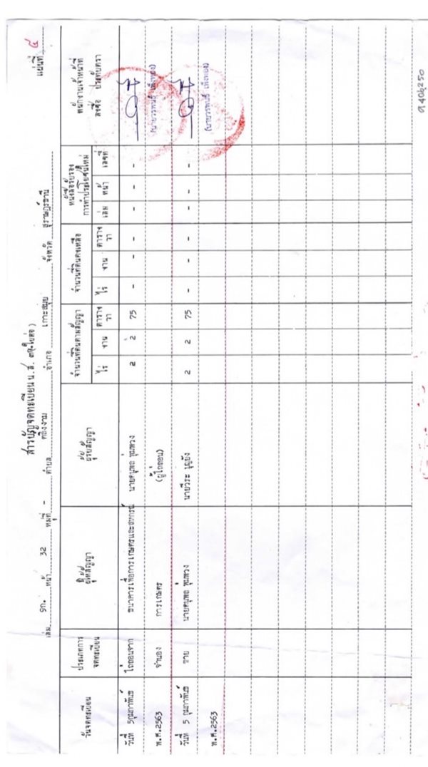 ขายที่ดิน พื้นที่ 2-2-75 ไร่ ต.ตลิ่งงาม อ.เกาะสมุย จ.สุราษฎร์ธานี (เจ้าของขายเอง) ทำเลดี บรรยากาศดี โทร. 084-732-2086