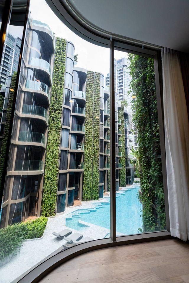 ให้เช่าคอนโด ASHTON RESIDENCE SUKHUMVIT 41 เลี้ยงสัตว์ได้