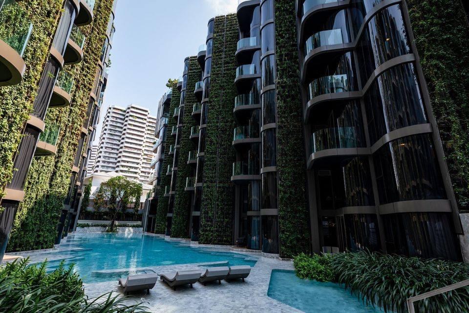 ให้เช่าคอนโด ASHTON RESIDENCE SUKHUMVIT 41 เลี้ยงสัตว์ได้