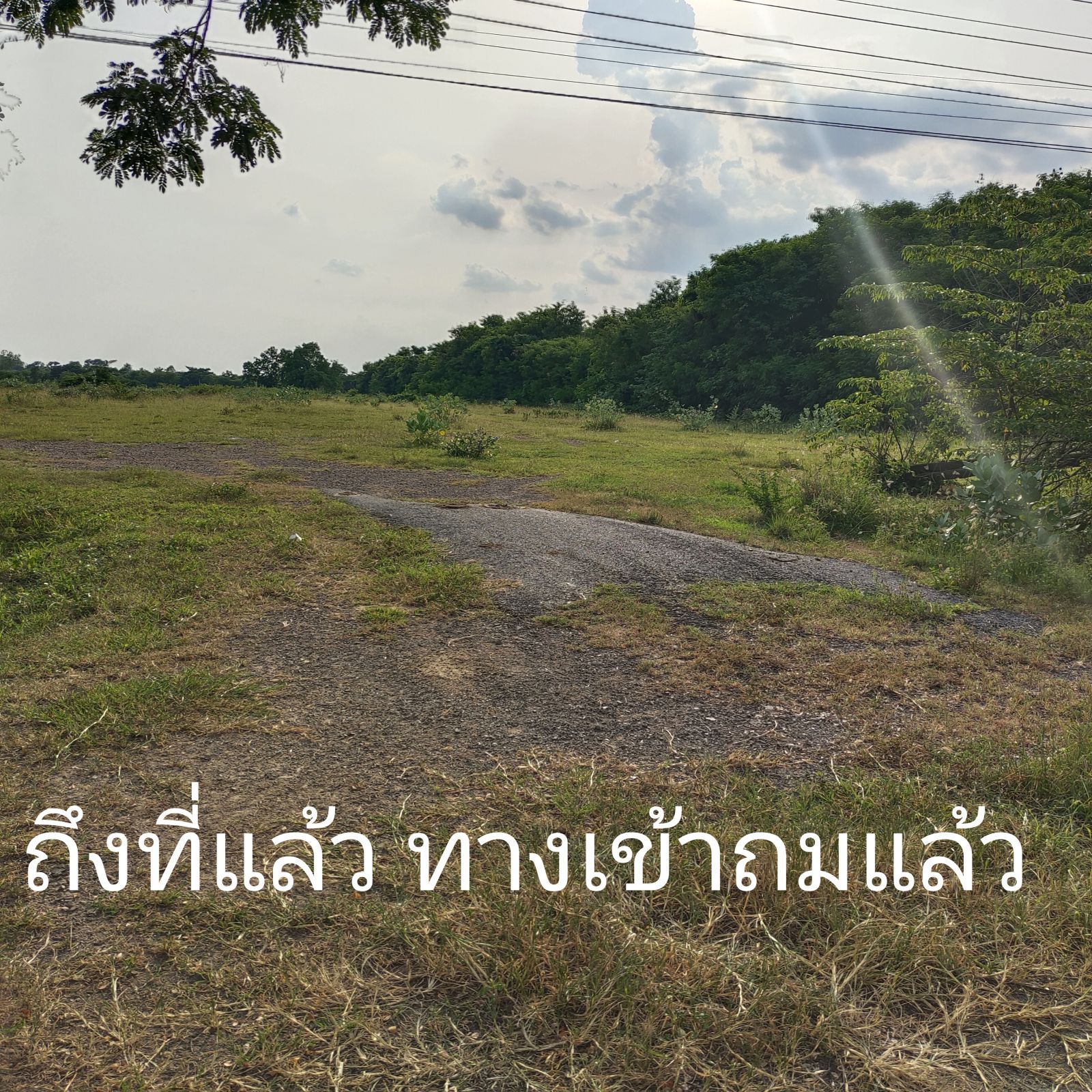 ที่ดินสวยราคาถูก ใกล้เขื่อนป่าสัก