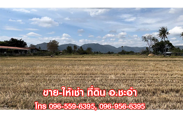 ขาย ให้เช่าที่ดินสวย ที่ดินเปล่า 3 ไร่ ชะอำ เพชรบุรี ใกล้หัวหิน