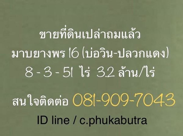 ขายที่ดิน มาบยางพร16 (บ่อวิน-ปลวกแดง) ขนาด 8 ไร่ 3 งาน 51 ตร.ว. จ.ระยอง อ.ปลวกแดง ถมแล้ว โทร 081-9097043