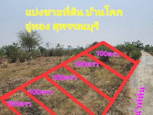 ขายด่วน แบ่งขายที่ดิน 100 ตร.ว. อำเภออู่ทอง จังหวัดสุพรรณบุรี ใกล้แหล่งชุมชน บ้านโคก ต.หนองโอ่ง โทร 0622656544